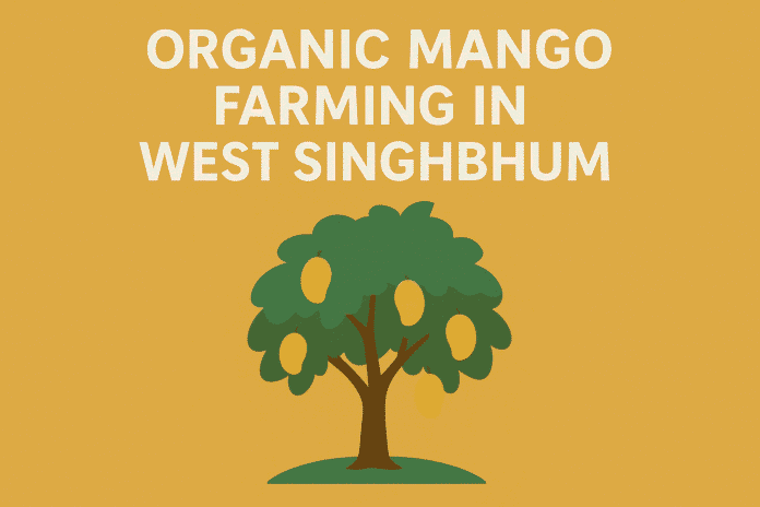 organic mango farming in West Singhbhum